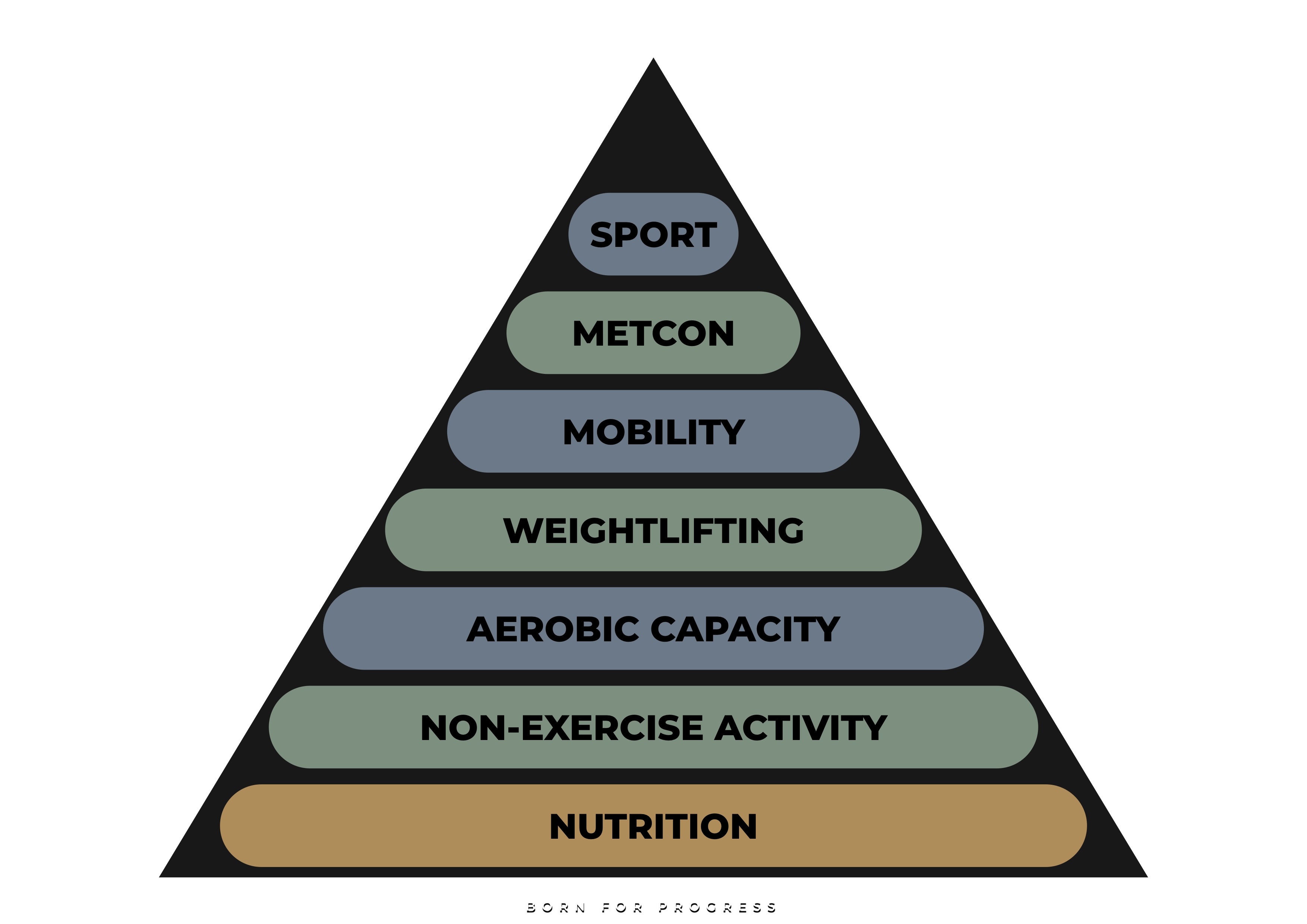 Piramid of nutrition